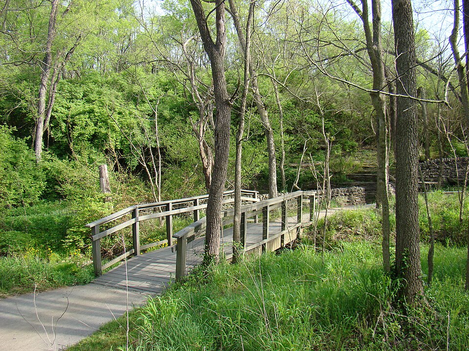 McConnell Springs, a historic natural area on the west side