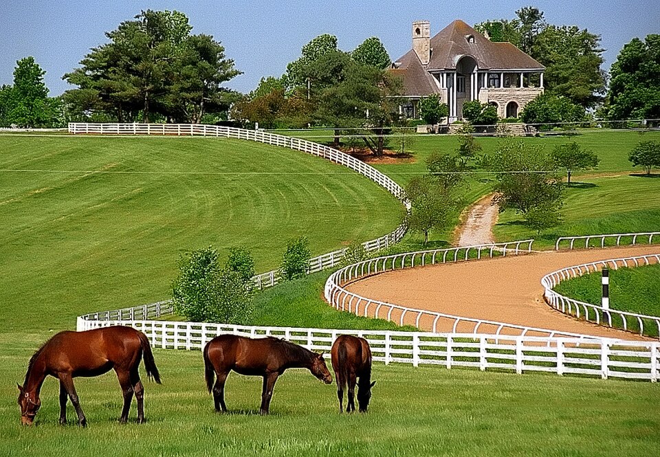 Donamire Farm in horse country