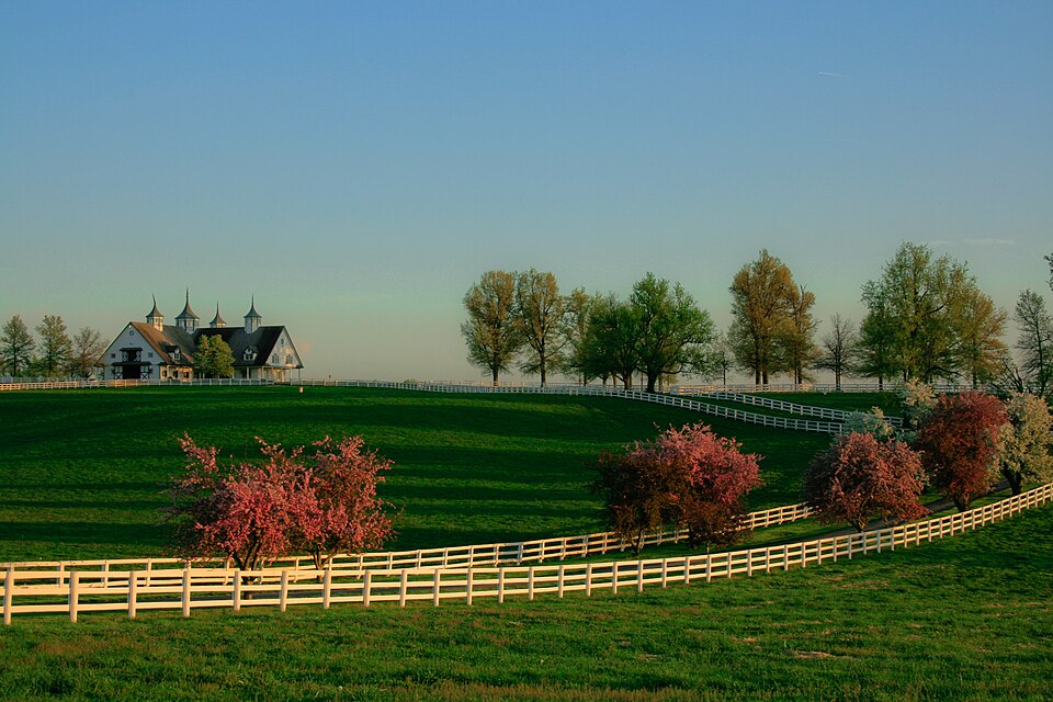 Manchester Farm in horse country