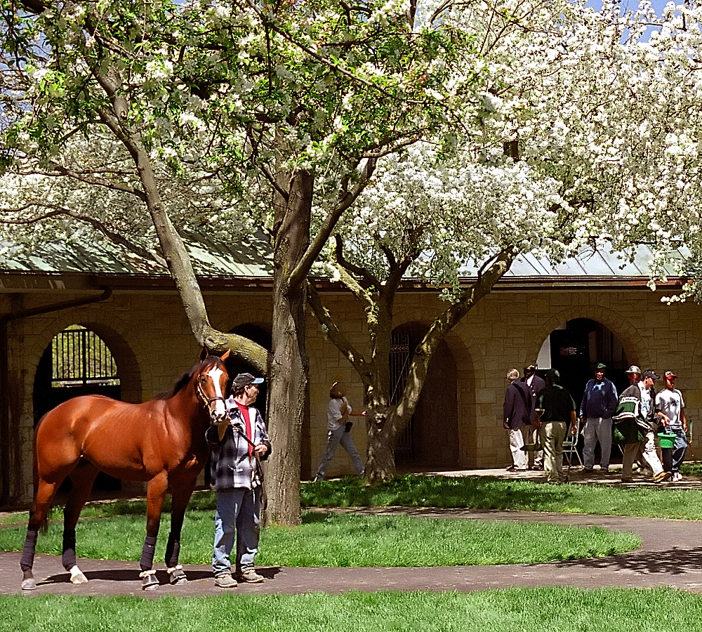 Keeneland race day